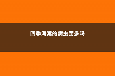 四季海棠的病虫害及其防治 (四季海棠的病虫害多吗)