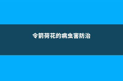 令箭荷花的病虫害及其防治 (令箭荷花的病虫害防治)