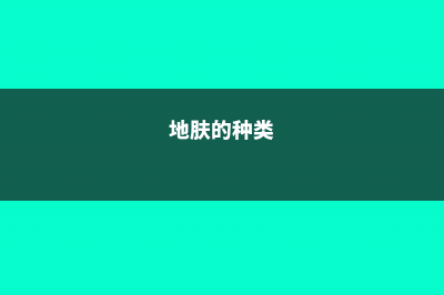 地肤的病虫害及其防治 (地肤的种类)