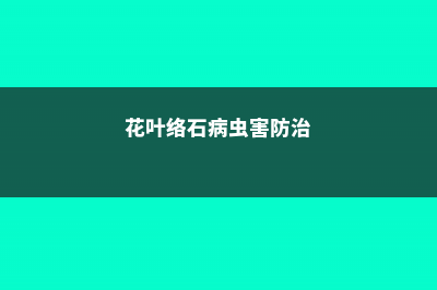 花叶络石的病虫害及其防治 (花叶络石病虫害防治)