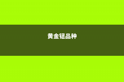 黄金钮常见虫害及防治方法 (黄金钮品种)