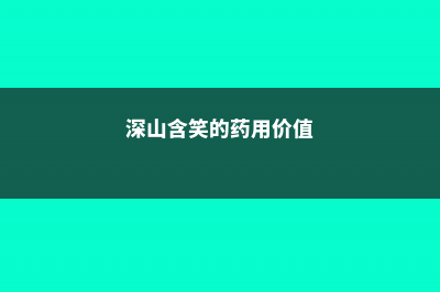 深山含笑的常见虫害及防治 (深山含笑的药用价值)