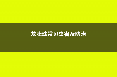 龙吐珠常见虫害及防治方法 (龙吐珠常见虫害及防治)