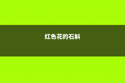 红花石斛常见虫害及防治方法 (红色花的石斛)