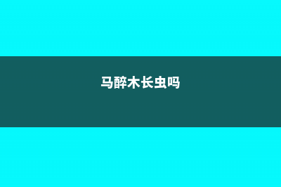 马醉木常见虫害及防治方法 (马醉木长虫吗)