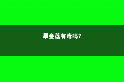 旱金莲常见虫害及防治方法 (旱金莲有毒吗?)