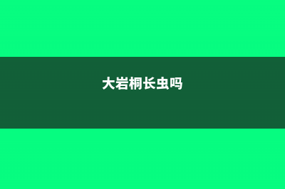 大岩桐的虫害及防治方法 (大岩桐长虫吗)