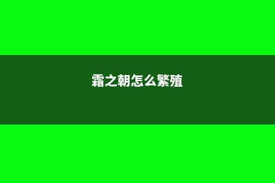 霜之朝常见病虫害及防治方法 (霜之朝怎么繁殖)