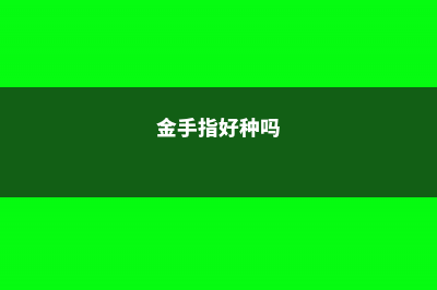 金手指虫害及防治方法 (金手指好种吗)