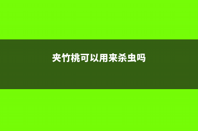 夹竹桃的虫害防治方法 (夹竹桃可以用来杀虫吗)