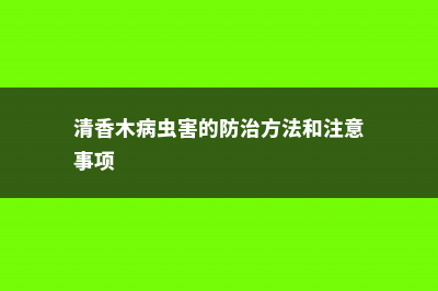 清香木的病虫害防治 (清香木病虫害的防治方法和注意事项)