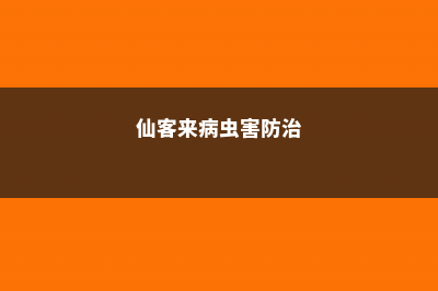 仙客来病虫害防治，病害有几种 (仙客来病虫害防治)