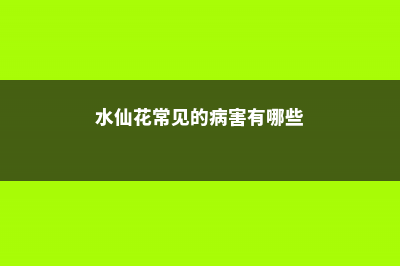 水仙花常见的病害，如何防治病害 (水仙花常见的病害有哪些)