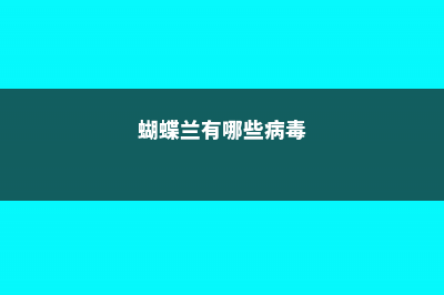 蝴蝶兰有哪些病虫害，病虫害用什么药 (蝴蝶兰有哪些病毒)