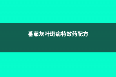 番茄灰叶斑病怎么治疗 (番茄灰叶斑病特效药配方)