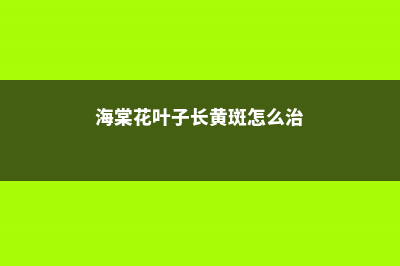 海棠花叶子长黄色斑点的原因 (海棠花叶子长黄斑怎么治)