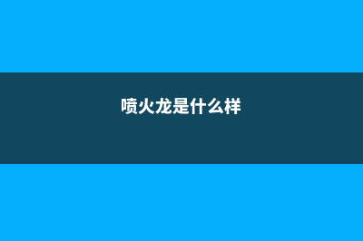 喷火龙有什么病害 (喷火龙是什么样)