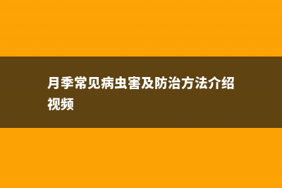 月季常见病虫害及防治方法介绍 (月季常见病虫害及防治方法介绍视频)