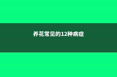 养花常见的12种病症，一招救治，还不快收藏起来！ (养花常见的12种病症)