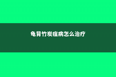 龟背竹炭疽病怎么治 (龟背竹炭疽病怎么治疗)