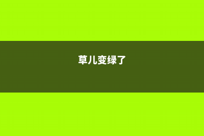 绿草变黑兰，你家的兰花“中毒”了，再不管立马死翘翘！ (草儿变绿了)