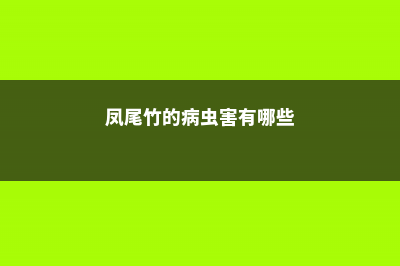 凤尾竹的病虫害防治 (凤尾竹的病虫害有哪些)