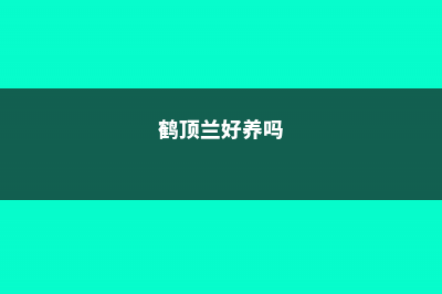 鹤顶兰的病虫害及其防治 (鹤顶兰好养吗)