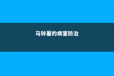 马铃薯的病害防治 (马铃薯的病害防治)