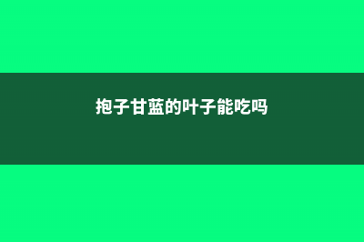 抱子甘蓝的病虫防治 (抱子甘蓝的叶子能吃吗)