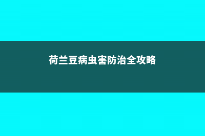 荷兰豆的病虫害防治 (荷兰豆病虫害防治全攻略)