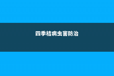 四季桔的病虫害及其防治 (四季桔病虫害防治)