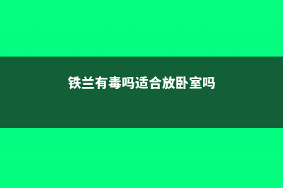 铁兰的常见病虫害及防治 (铁兰有毒吗适合放卧室吗)