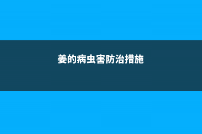 姜的病虫害防治 (姜的病虫害防治措施)