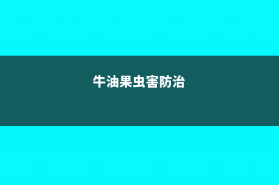 牛油果的病虫害及防治方法 (牛油果虫害防治)