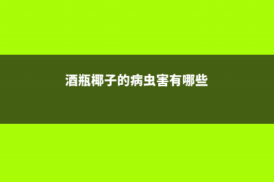 酒瓶椰子的病虫害及其防治 (酒瓶椰子的病虫害有哪些)