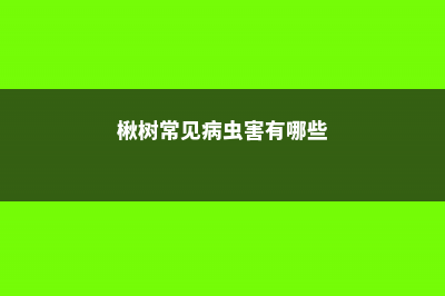 楸树的常见病害及其防治 (楸树常见病虫害有哪些)