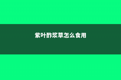 紫叶酢浆草的常见病害及其防治 (紫叶酢浆草怎么食用)