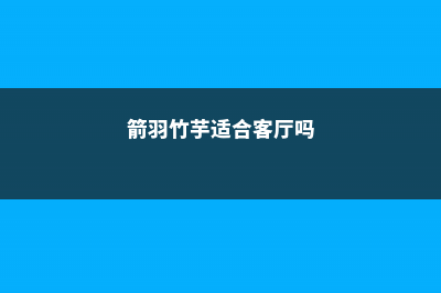 箭羽竹芋的病害及其防治方法 (箭羽竹芋适合客厅吗)