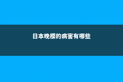 日本晚樱的病害及其防治 (日本晚樱的病害有哪些)