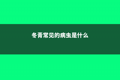 冬青常见的病虫害及其防治 (冬青常见的病虫是什么)