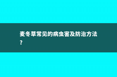 麦冬草的病害及其防治 (麦冬草常见的病虫害及防治方法?)