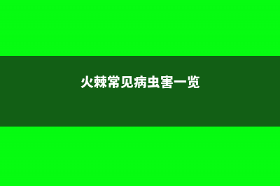 火棘的常见病虫害及其防治 (火棘常见病虫害一览)