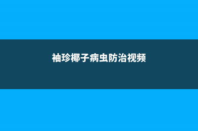 袖珍椰子的病虫害及其防治 (袖珍椰子病虫防治视频)