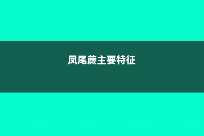 凤尾蕨的病虫害及其防治 (凤尾蕨主要特征)