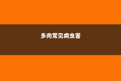 多肉9大病虫害表现症状及防治方法 (多肉常见病虫害)