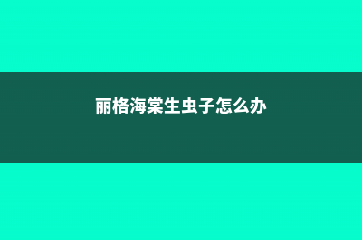 丽格海棠的病虫害及其防治 (丽格海棠生虫子怎么办)