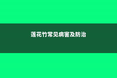 莲花竹常见病害及防治方法 (莲花竹常见病害及防治)