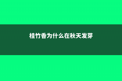 桂竹香的病虫害及防治方法 (桂竹香为什么在秋天发芽)