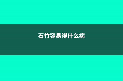 石竹的病害及防治方法 (石竹容易得什么病)