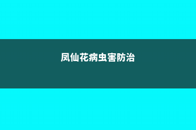 凤仙花常见病害及防治方法 (凤仙花病虫害防治)